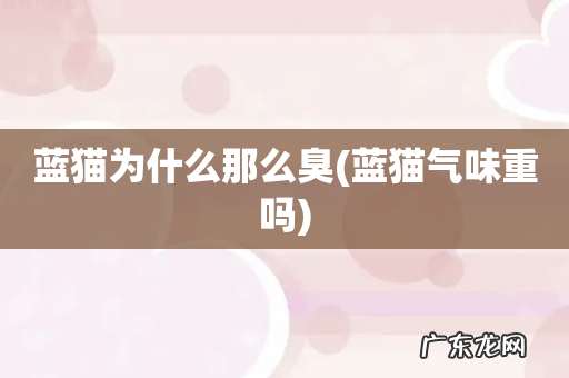 蓝猫气味重吗 蓝猫为什么那么臭