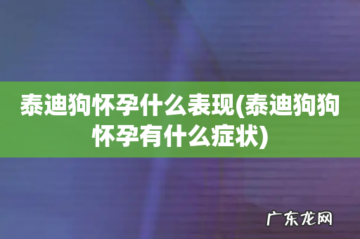泰迪狗狗怀孕有什么症状 泰迪狗怀孕什么表现