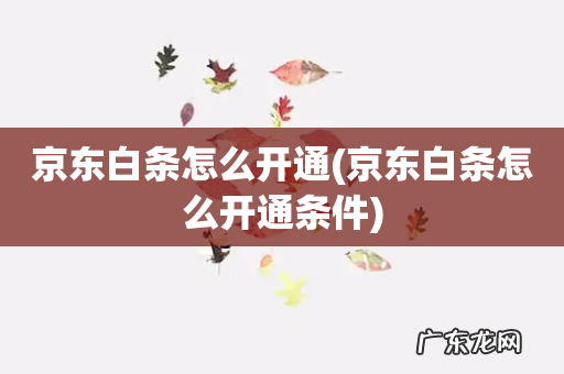 京东白条怎么开通条件 京东白条怎么开通