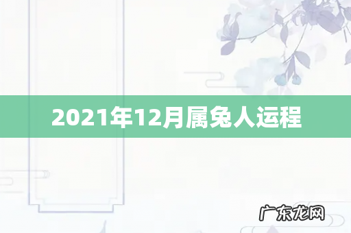 2021年12月属兔人运程