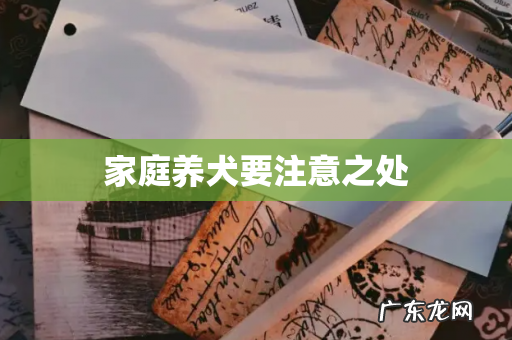 家庭养犬要注意之处