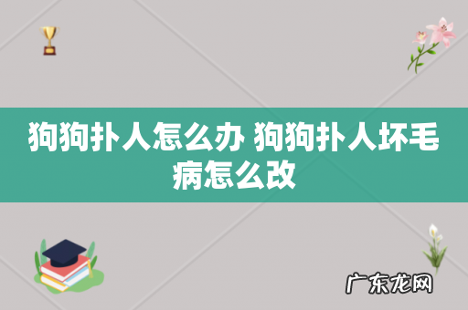 狗狗扑人怎么办 狗狗扑人坏毛病怎么改
