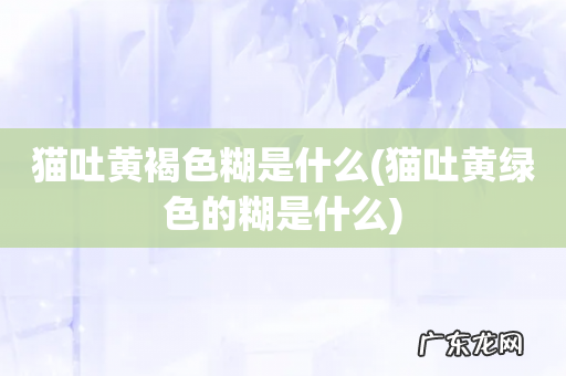 猫吐黄绿色的糊是什么 猫吐黄褐色糊是什么