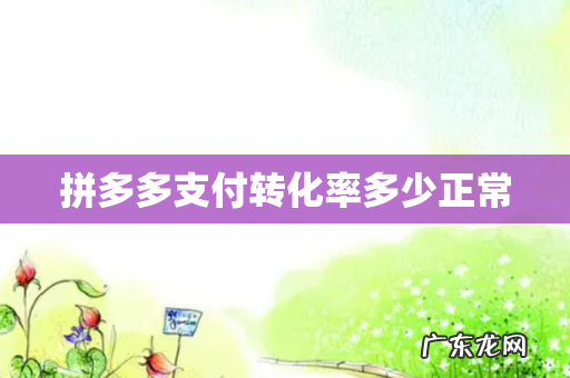 拼多多支付转化率多少正常