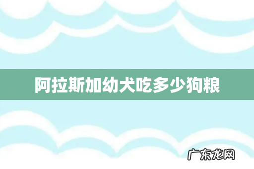 阿拉斯加幼犬吃多少狗粮