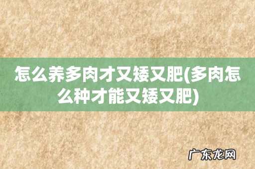 多肉怎么种才能又矮又肥 怎么养多肉才又矮又肥