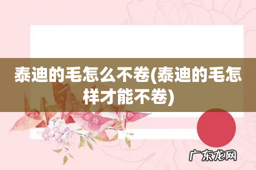 泰迪的毛怎样才能不卷 泰迪的毛怎么不卷