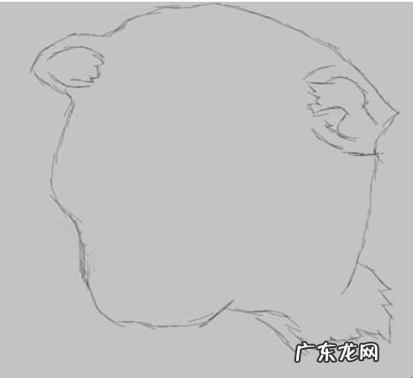 哈士奇的画法是什么