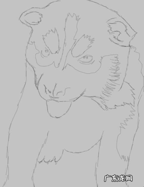 哈士奇的画法是什么