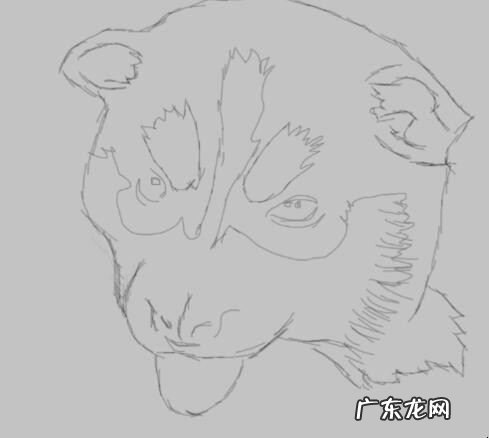 哈士奇的画法是什么