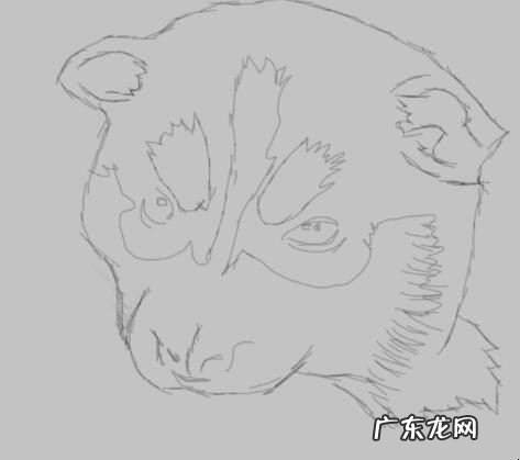 哈士奇的画法是什么