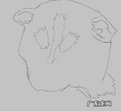 哈士奇的画法是什么