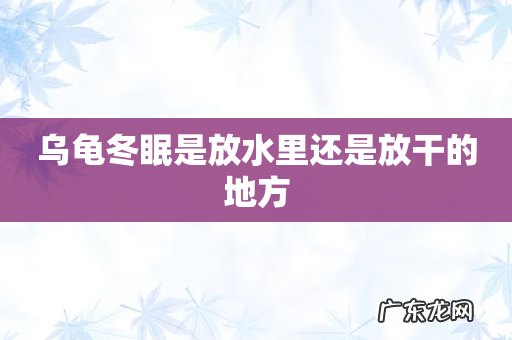 乌龟冬眠是放水里还是放干的地方
