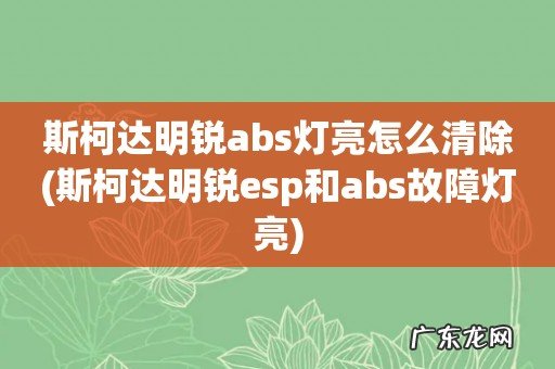 斯柯达明锐esp和abs故障灯亮 斯柯达明锐abs灯亮怎么清除