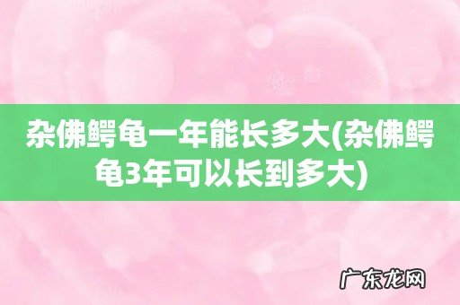 杂佛鳄龟3年可以长到多大 杂佛鳄龟一年能长多大