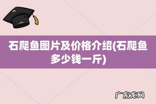 石爬鱼多少钱一斤 石爬鱼图片及价格介绍