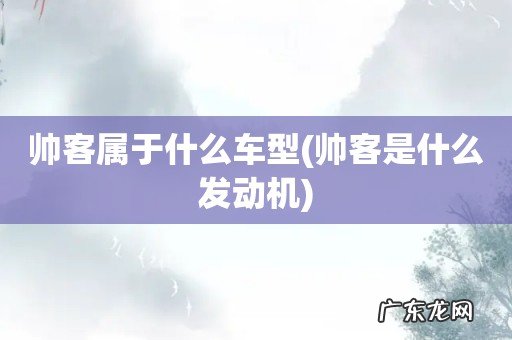 帅客是什么发动机 帅客属于什么车型