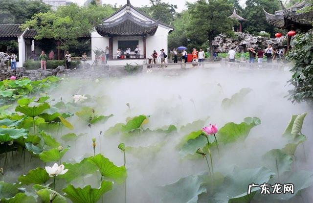 颛粤语怎么读 颛怎么读什么意思