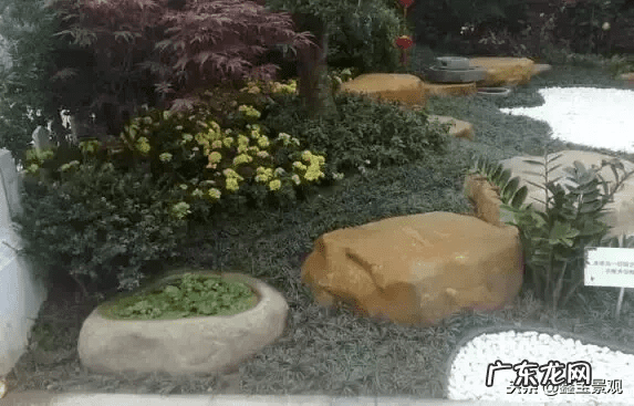 院子摆放石头的风水 石头的风水作用