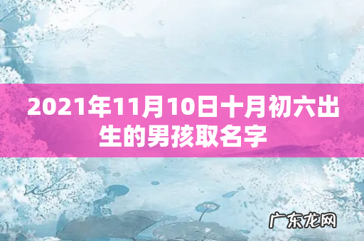 2021年11月10日十月初六出生的男孩取名字
