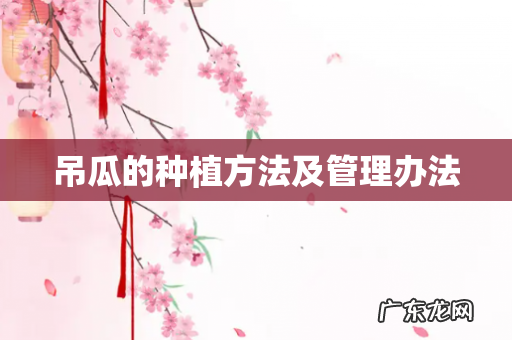 吊瓜的种植方法及管理办法