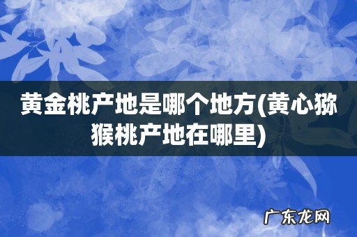 黄心猕猴桃产地在哪里 黄金桃产地是哪个地方