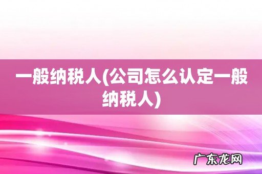 公司怎么认定一般纳税人 一般纳税人