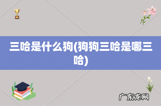 狗狗三哈是哪三哈 三哈是什么狗