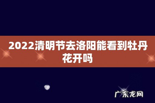 2022清明节去洛阳能看到牡丹花开吗