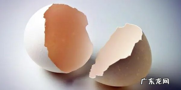 如何消灭家里的蚂蚁?