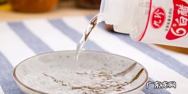 如何消灭家里的蚂蚁?