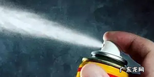 如何消灭家里的蚂蚁?