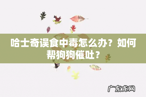 哈士奇误食中毒怎么办?如何帮狗狗催吐?