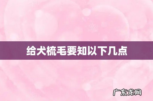 给犬梳毛要知以下几点