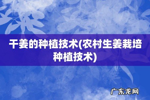 农村生姜栽培种植技术 干姜的种植技术