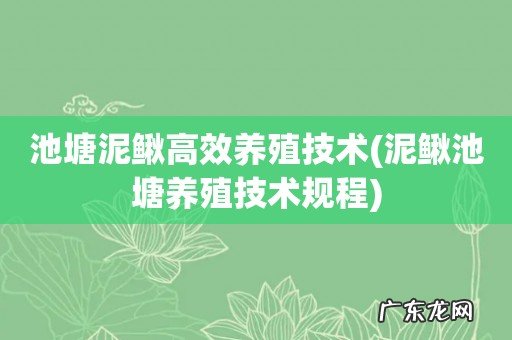 泥鳅池塘养殖技术规程 池塘泥鳅高效养殖技术