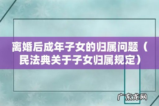 民法典关于子女归属规定 离婚后成年子女的归属问题