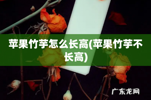 苹果竹芋不长高 苹果竹芋怎么长高