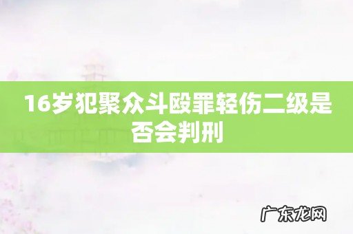 16岁犯聚众斗殴罪轻伤二级是否会判刑