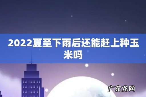 2022夏至下雨后还能赶上种玉米吗