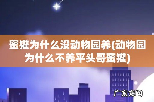 动物园为什么不养平头哥蜜獾 蜜獾为什么没动物园养