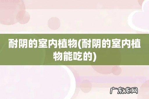 耐阴的室内植物能吃的 耐阴的室内植物