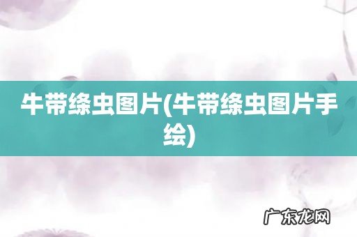 牛带绦虫图片手绘 牛带绦虫图片