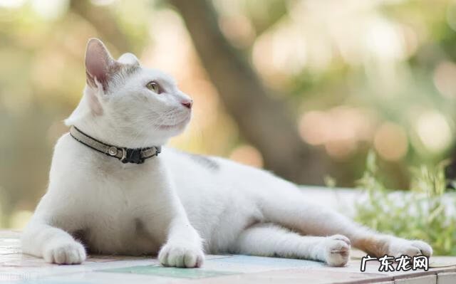 冬天进补和养生 冬季进补是什么意思