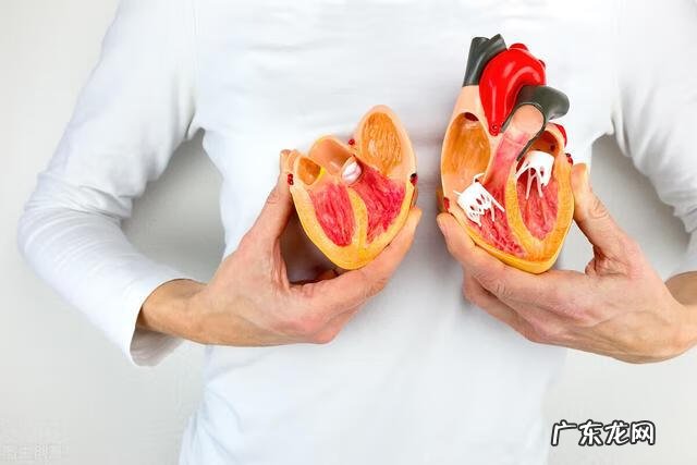 冬天进补和养生 冬季进补是什么意思