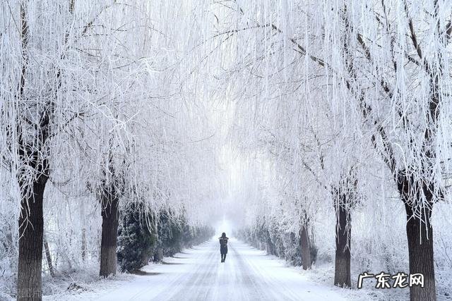 冬天进补和养生 冬季进补是什么意思