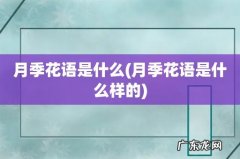 月季花语是什么样的 月季花语是什么