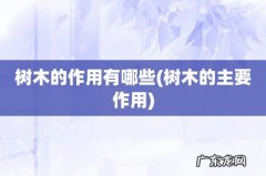 树木的主要作用 树木的作用有哪些