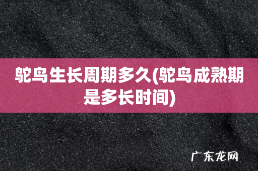 鸵鸟成熟期是多长时间 鸵鸟生长周期多久