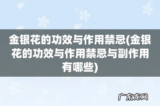 金银花的功效与作用禁忌与副作用有哪些 金银花的功效与作用禁忌